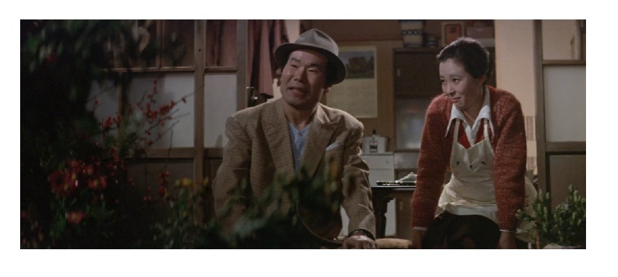 映画「男はつらいよ 寅次郎恋歌(第8作)」の作品解説