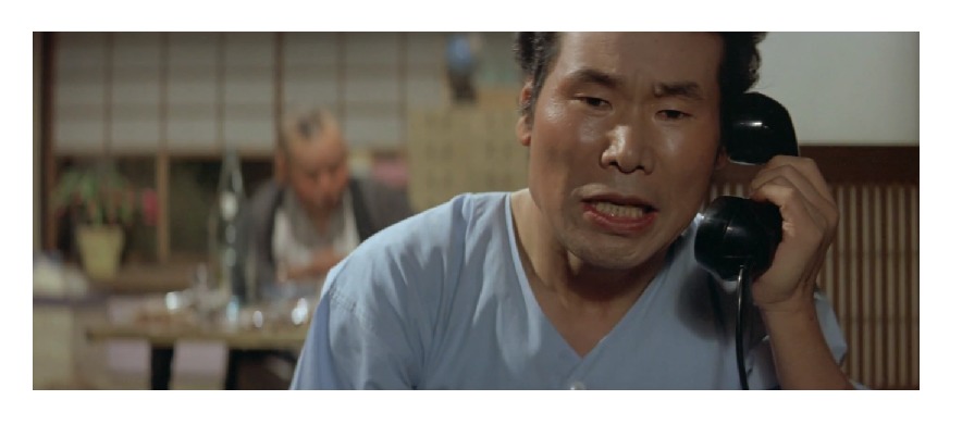 映画「男はつらいよ 私の寅さん(第12作)」の作品解説