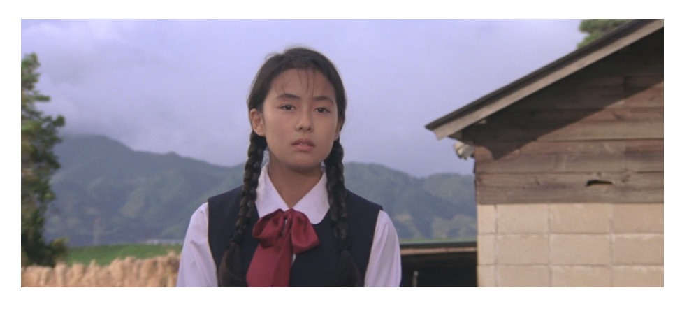42作~45作、48作目満男のマドンナ:及川泉(女優名:後藤久美子)