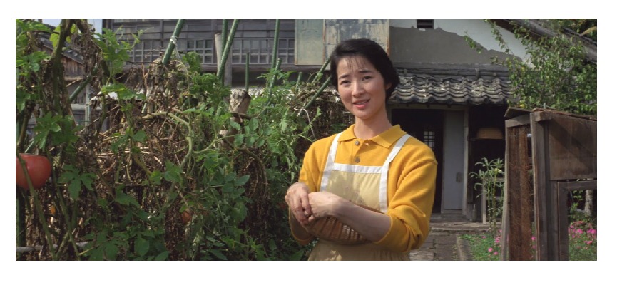 42作目マドンナ:奥村寿子(女優名:檀ふみ))