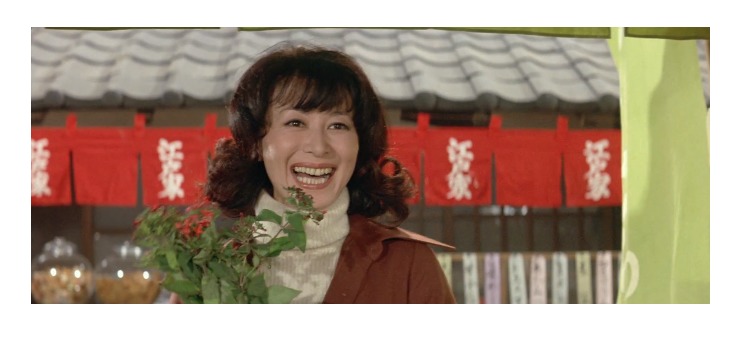 12作目マドンナ:柳りつ子(女優名:岸惠子)